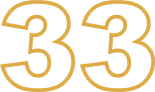 33 let na trhu realit